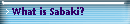 What is Sabaki?